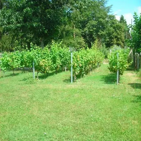 Avec Piscine Partagee, Jardin Clos Et Wifi A * Eymet